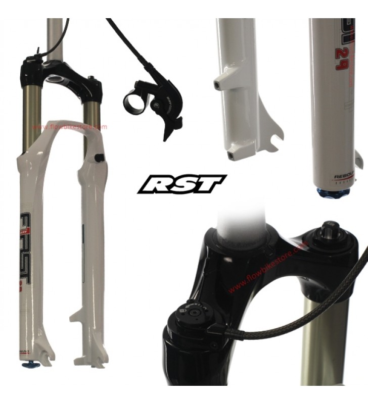 Suspensiones discount rst bicicletas